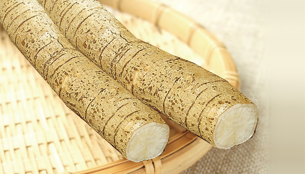 J9国际合营
牛大力鲜薯